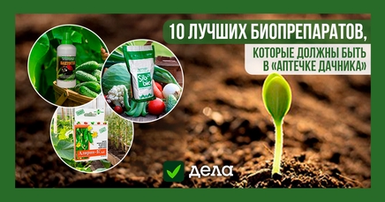 10 лучших биопрепаратов, которые должны быть в "аптечке дачника" | Дела ...