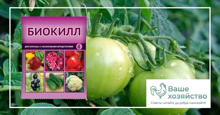 БиоКилл, КЭ | Дела (Огород.ru)