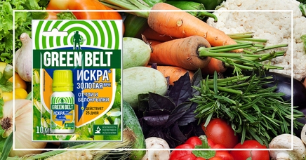 Искра Золотая, ВРК | Дела (Огород.ru)