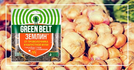 Землин, Г | Дела (Огород.ru)