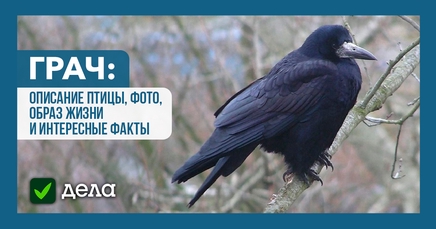 arhivach.org!пизда![[[[ 