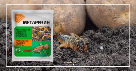 Метаризин, Ж | Дела (Огород.ru)