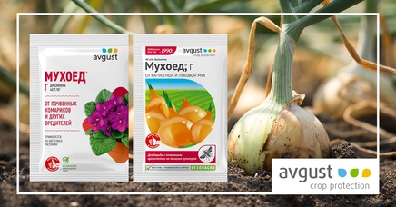 Мухоед, Г | Дела (Огород.ru)