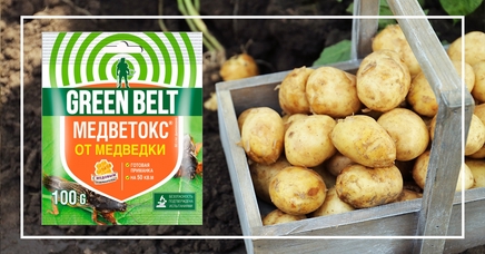 Медветокс, готовая приманка | Дела (Огород.ru)