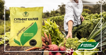 Сульфат калия, или калий сернокислый | Дела (Огород.ru)