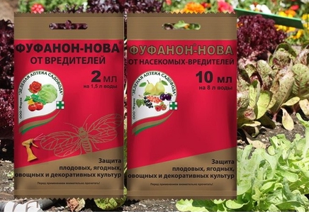 15 лучших препаратов от вредителей растений | Дела (Огород.ru)